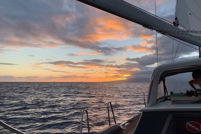 Private Sunset Boat Cruise in Waikiki Honolulu - Wildlife spotting adds a welcome bonus