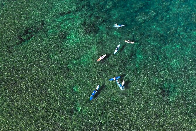 Private Surf Lesson for 3-5 People in North Shore Oahu - What You Learn Before Entering the Water