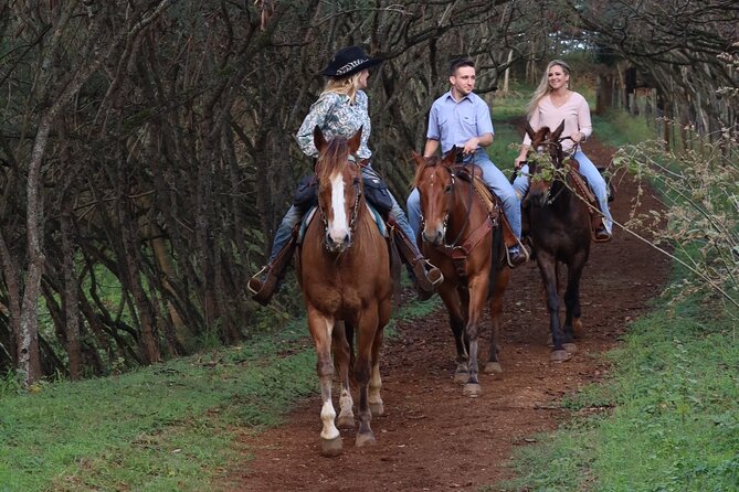 Private Sweetheart Horseback Ride - The first hour: an easy trail through the ranch