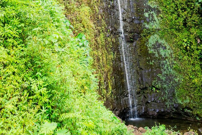 PRIVATE TOUR-Hike Diamond Head & Hawaiian Waterfall - The beachside breakfast stop helps break up the hiking