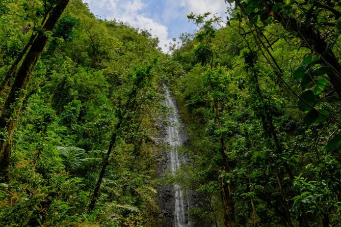 PRIVATE TOUR-Hike Diamond Head & Hawaiian Waterfall - What to wear and how to prepare