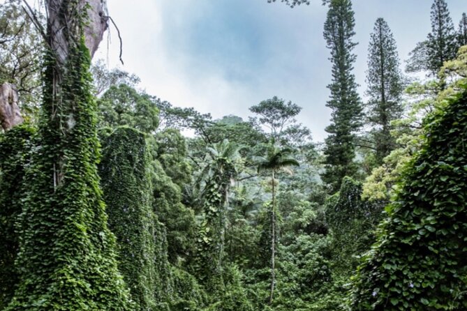 PRIVATE TOUR-Hike Diamond Head & Hawaiian Waterfall - Diamond Head: stairs, crater walls, and wide Honolulu views