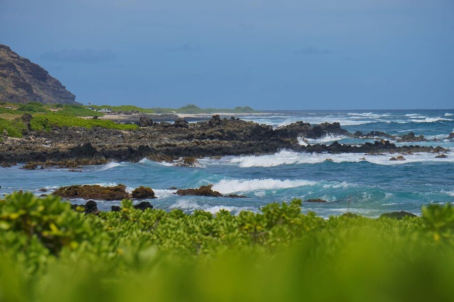 Private Tour Oahu-Circle Island-Customizable - Key points to know before booking
