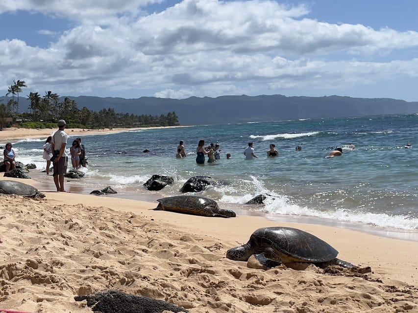 Private Tour Oahu-Circle Island-Customizable - Makapuʻu Lookout and the value of quick stops