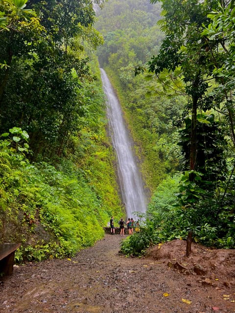 Private Tour Oahu-Circle Island-Customizable - Finishing high at Nuʻuanu Pali Lookout