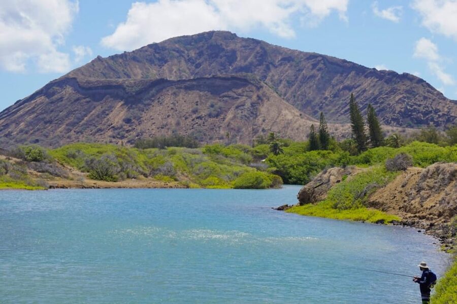 Private Tour Oahu-Circle Island-Customizable - Guides, family care, and language support