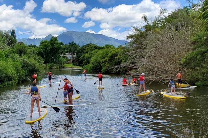 Private Tour Oahu Circle Island - Fully Personalized Experience - Adding Dole Plantation, local food, or water activities