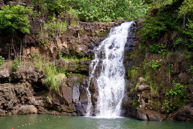 Private Tour Oahu including Waimea Waterfall-Customizable - Why this private Oahu day works