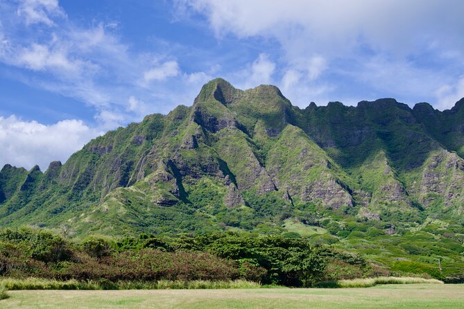 Private Tour Oahu including Waimea Waterfall-Customizable - Should you add Dole Plantation?