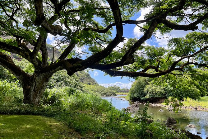 Private Tour Oahu including Waimea Waterfall-Customizable - From Waikiki to the North Shore