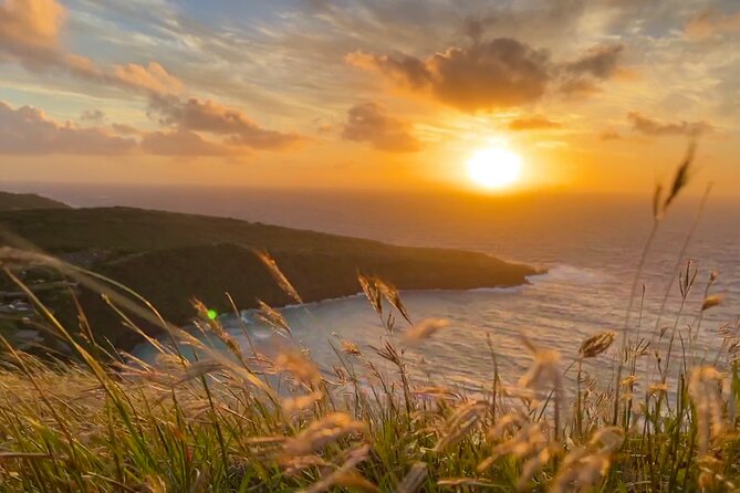 Private Tour Oahu - up to 6 passengers - Customizable - Hanauma Bay, Halona Blowhole, and Sandy Beach