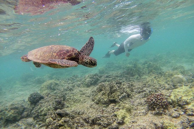 Private Tour of Oahu for 6 to 11 people - up to 8 hours - Why families and mixed-age groups like this format