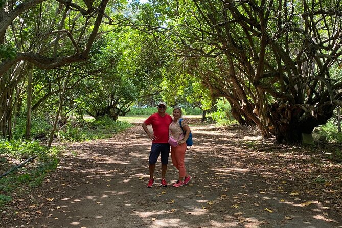 PRIVATE TOUR-Ultimate North Shore Experience - Turtle Bay adds a chance for close wildlife views