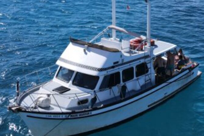 Private Turtle Canyon Snorkel Tour - Up to 6 Passengers - Timing, weather, and what can change
