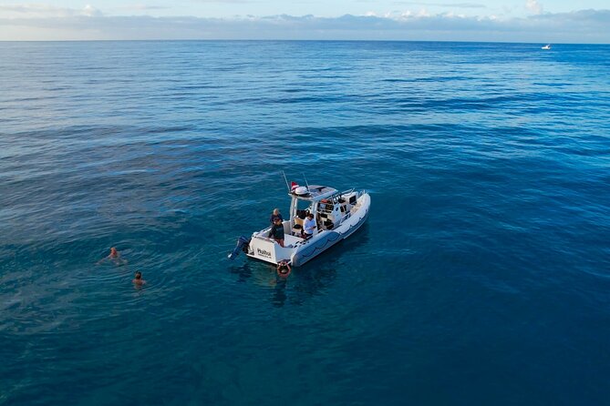 Private Turtle Snorkel & Cruise Waikiki - The shallow shipwreck alternative