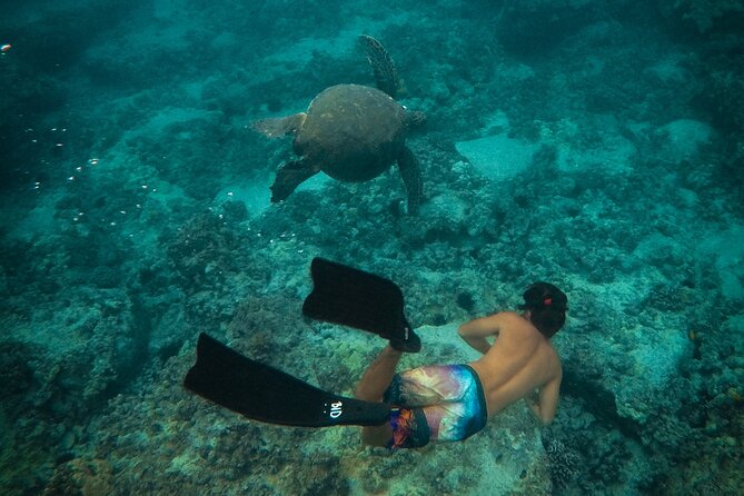 Private Waikiki Boat Charter – Create Your Own Ocean Experience - What Your Two Hours on the South Shore Look Like