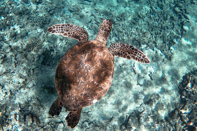 Private Waikiki Boat Charter – Create Your Own Ocean Experience - The Best Views Come From Leaving Waikiki Behind