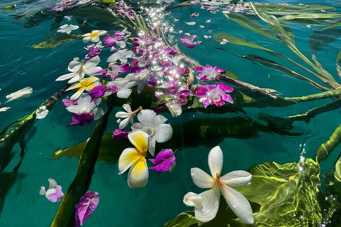 Private Waikiki Boat Charter – Create Your Own Ocean Experience - Who Will Get the Most From This Charter?