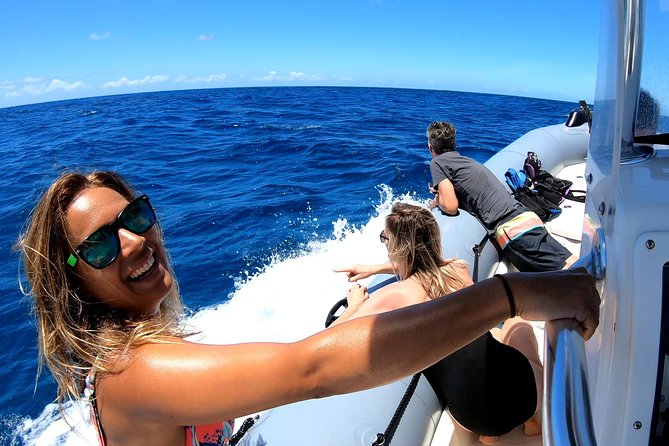 Private Whale Watching Adventure - Leaving Waikiki Behind at Ala Wai Harbor