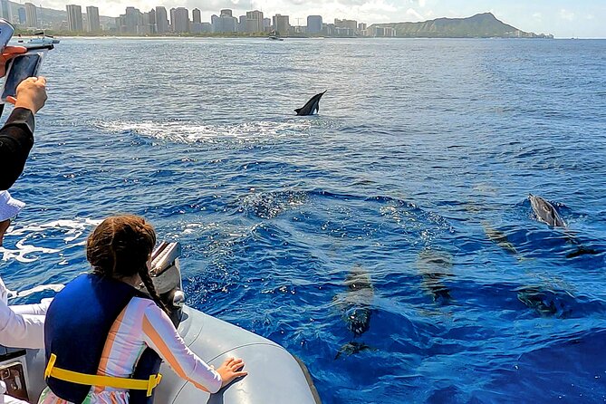 Private Whale Watching Adventure - Is $795 a Fair Price for Six People?