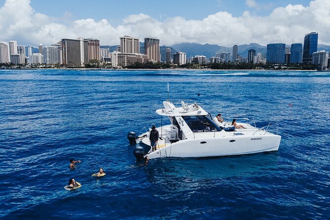 Private Whale Watching and Coastal Swimming Tour Honolulu - A private boat day with your own music and food