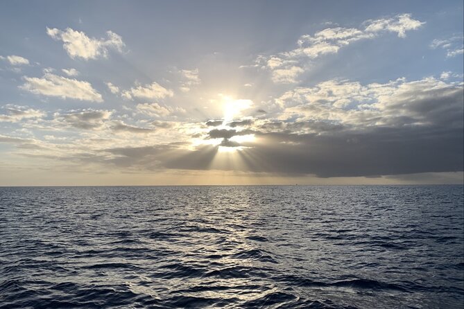 Private Whale Watching and Dolphin Excursion - Following the southeast Oahu coast