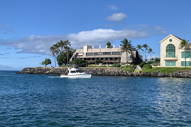 Private Whale Watching and Dolphin Excursion - The captain can make or break the experience