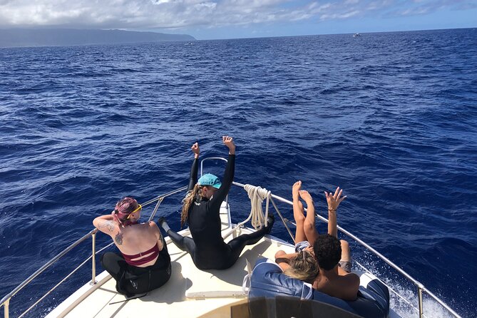Private Whale Watching Safari from North Shore Oahu - What the guides add to the outing
