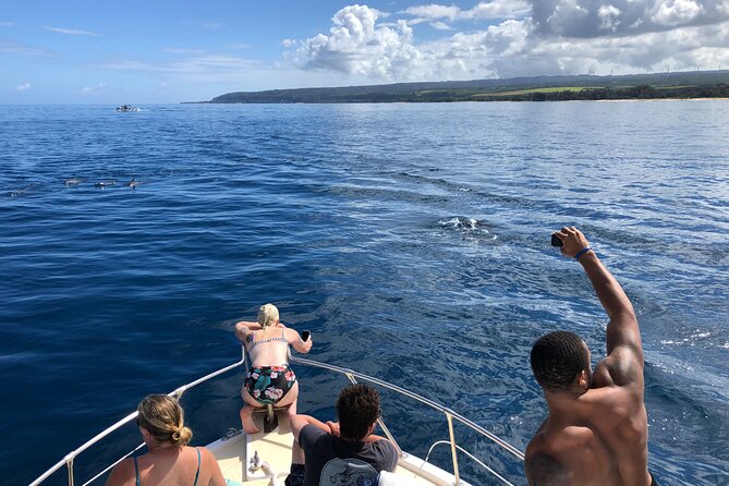 Private Whale Watching Safari from North Shore Oahu - Is $600 a fair price?