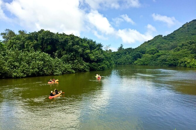 Rainforest River Kayak Self-Guided Kayak Tour - What to wear and what to bring
