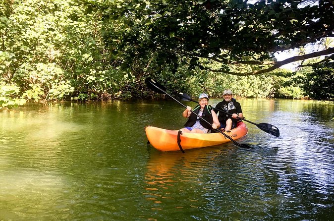 Rainforest River Kayak Self-Guided Kayak Tour - Is $82 a fair price?
