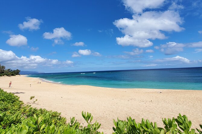 Round Trip North Shore Shuttle from Waikiki to Haleiwa Town / Haleiwa Harbor - The ride, driver, and group size
