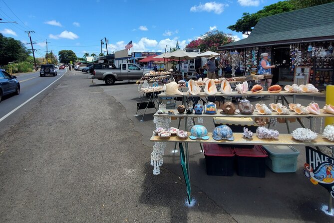 Round Trip North Shore Shuttle from Waikiki to Haleiwa Town / Haleiwa Harbor - Booking details and cancellation timing