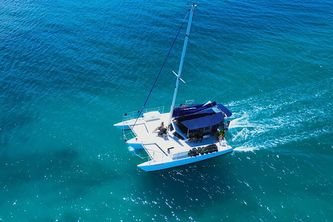 Sail and Turtle Snorkeling Tour in Waikiki - Who should book this outing