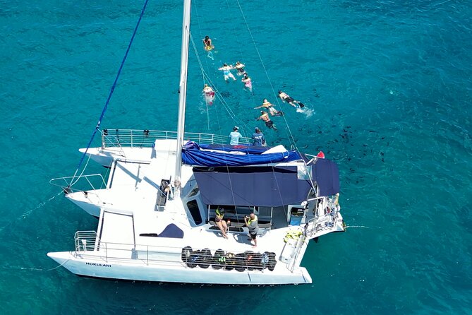 Sail and Turtle Snorkeling Tour in Waikiki - The Turtle Canyon stop and what you may see