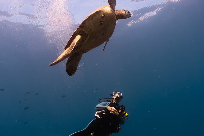 Scuba Dive at Electric Beach - Entering the water at your own speed