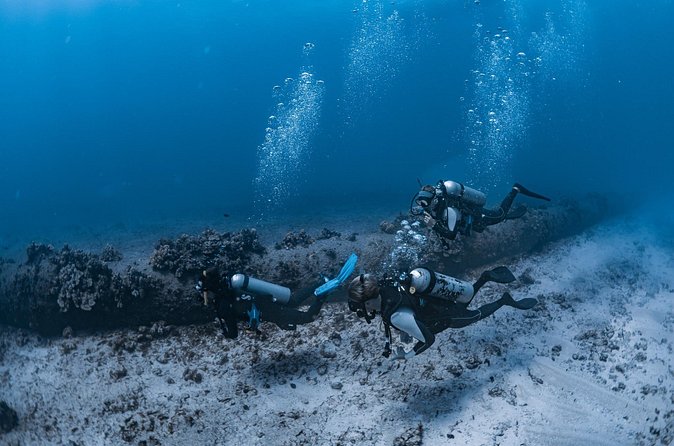 Scuba Dive at Electric Beach - Coral, lava rock, and the value of a private group