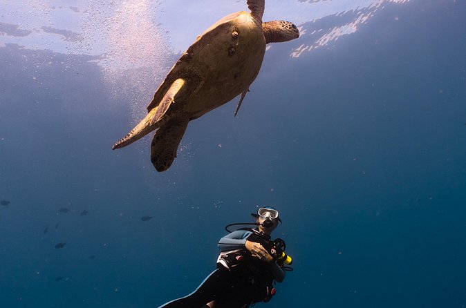Scuba Dive at Electric Beach - Is $145 a fair price?