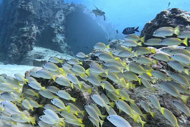 SCUBA Dive at Electric Beach with Photos -No Certification Needed - Learning the skills one-on-one in the water