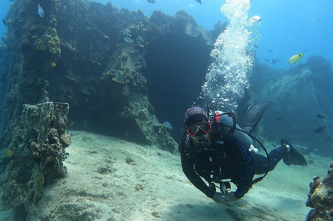 SCUBA Dive at Electric Beach with Photos -No Certification Needed - Exploring the reef and looking for turtles