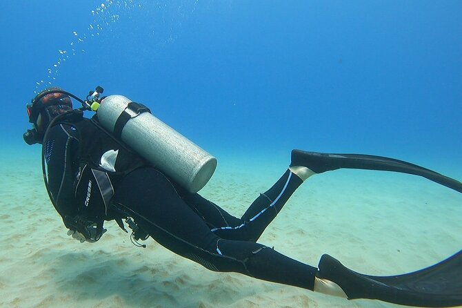 SCUBA Dive at Electric Beach with Photos -No Certification Needed - The complimentary photo package adds real value