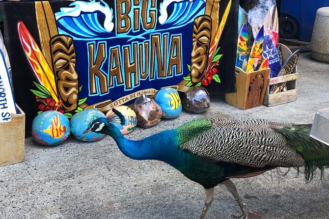 Sea / Eat & See The North Shore - Haleiwa and the small-town North Shore feel