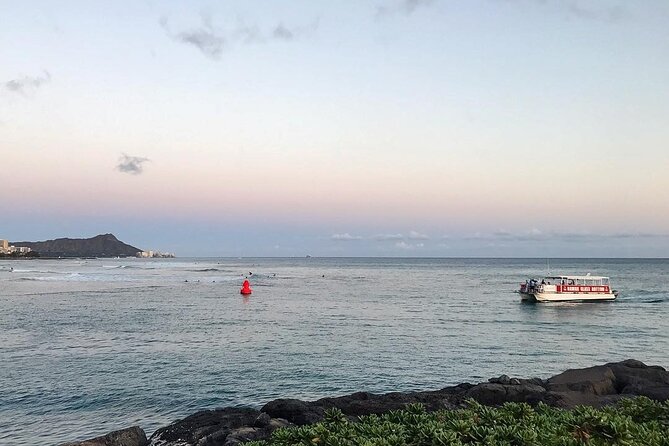 Sea Safari, Dolphins, Turtles and Waikiki Cruise - Fish, turtles, dolphins, and whales
