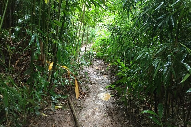 Self Guided Hike Trail to Nature Walk & Waterfall - Rain, Mud, and the Gear You Need to Pack