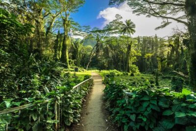Self Guided Hike Trail to Nature Walk & Waterfall