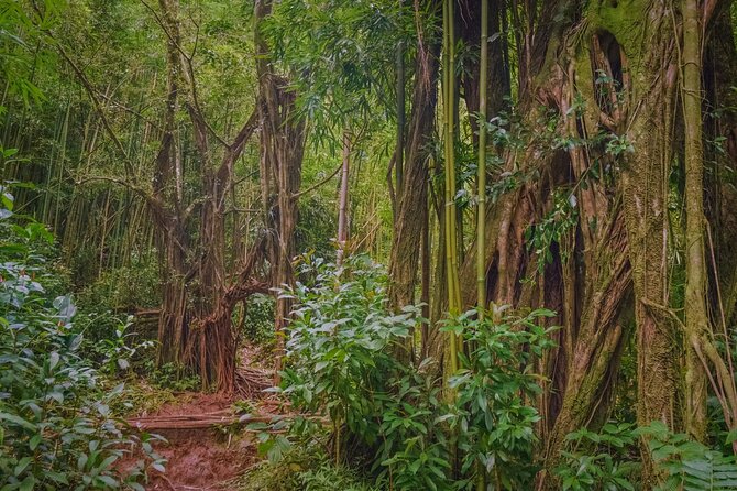 Self guided Hike Trail to Nature Walk & Waterfall - How the small group and transport affect the price