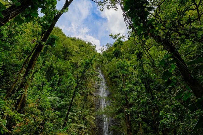 Self guided Hike Trail to Nature Walk & Waterfall - What to bring for a wet tropical trail