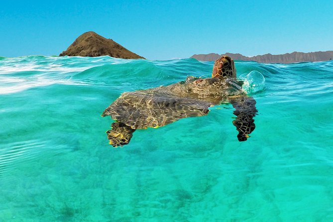 Self-Guided Kayaking Discovery in Kailua, Oahu - Mokulua Islands: the main prize offshore