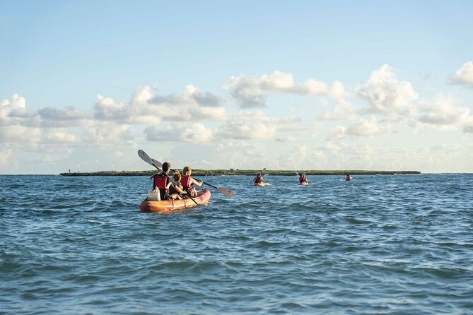 Self-Guided Kayaking Tour in Kailua Bay and Popoia Island - Walking Popoia Island’s rough coral shore