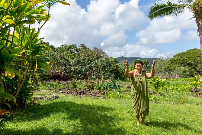 Semi Private Honolulu Historical Tour - The Mission Houses and Honolulu in 1820